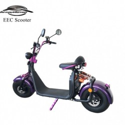Factory Cheaper 1500W 20ah Lithium Electric Scooter with EEC
