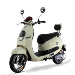 Fashion Electric Sco