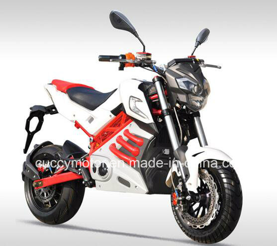 Chinese 2000W 1500W Indonisia Brazil Philippines Malaysia Cuba Racing Electric Bike (New Panther) Image1