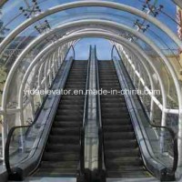 Escalator (indoor type)