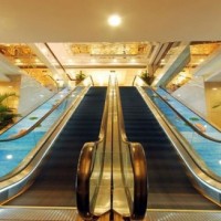 Toyon Escalator with 35 Degree 600~1200mm Step Width Indoor