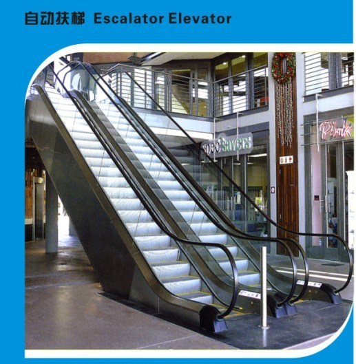 Automatic Indoor Passenger Escalator with Vvvf Auto Start & Stop Image1