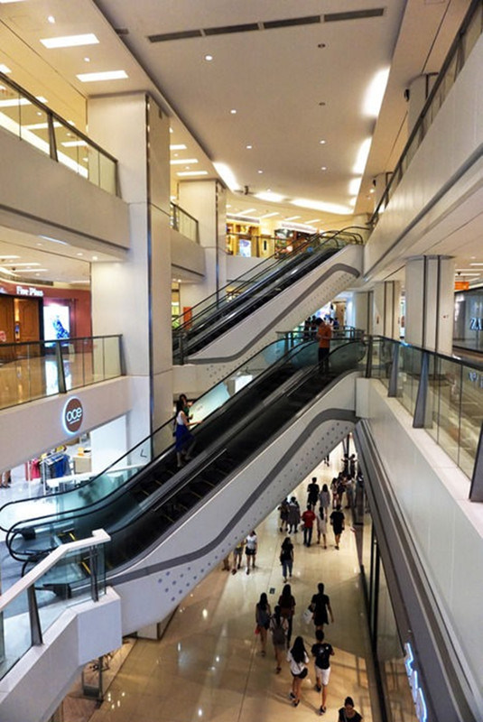 High Performance and Quality Parallel Escalator Image1