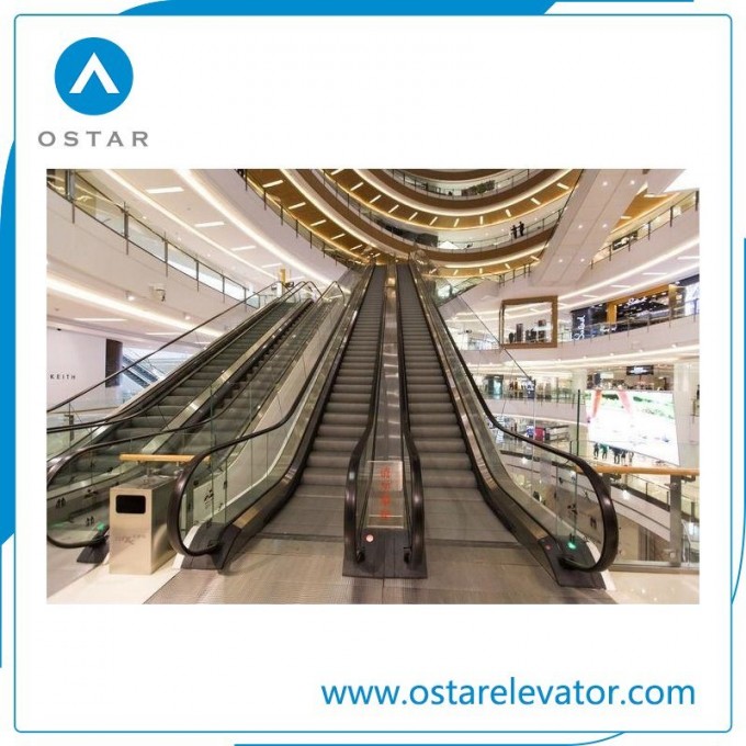 High Quality Indoor and Outdoor Vvvf Escalator with Decoration Image1