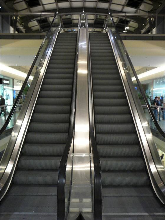 Dsk Escalator with Good Quality Image1