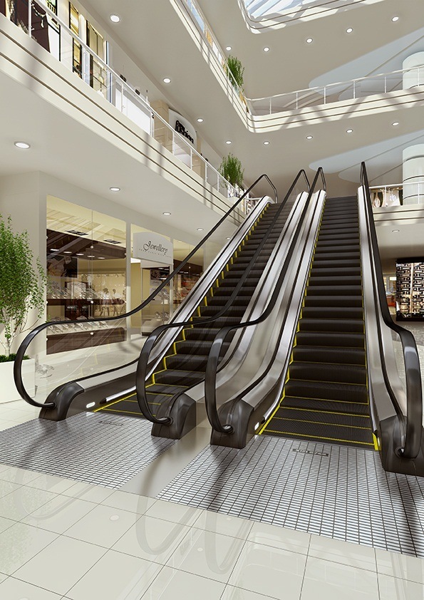 Commercial Wholesale Elevator Escalator (LCS-S) Image1