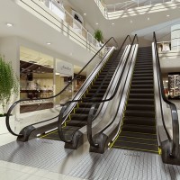 Commercial Wholesale Elevator Escalator (LCS-S)