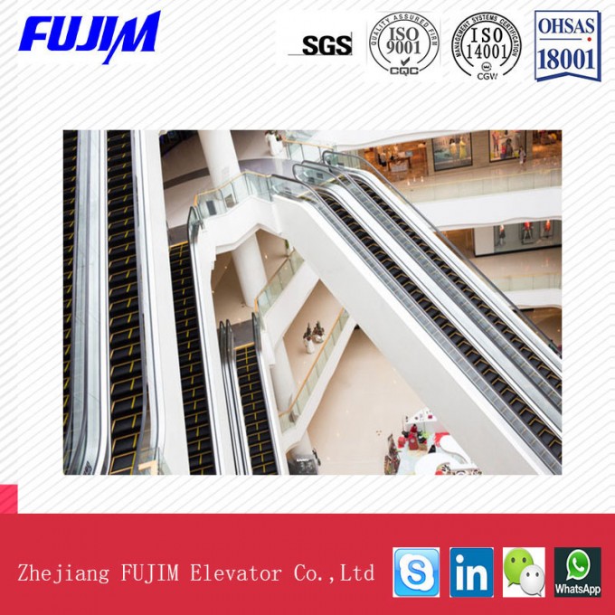 Public Escalator with Large Transmission Capacity Image1