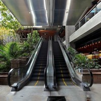 Indoor Commercial Passenger Escalator for Supermarket by Experienced Manufacturer