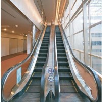 Public Traffic Escalator in Parallel