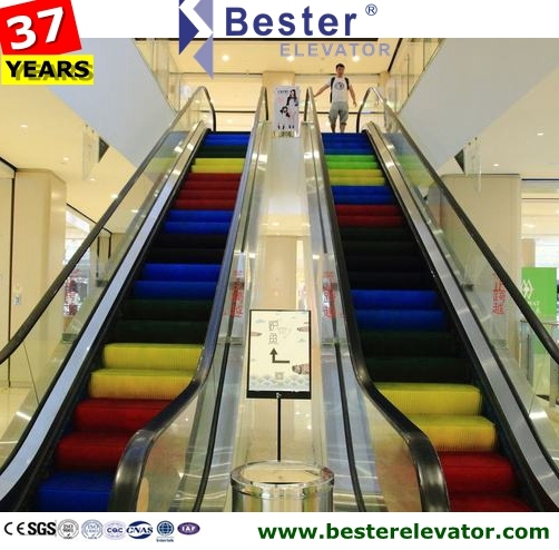 Outdoor Public Transport Type Escalator with Higher Level of Protection Image1