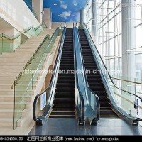 Economic Escalator Used in Public Place