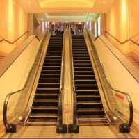 Standard Hight Quality Economic Escalator Indoor & Outer Door