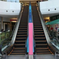 Commercial Escalator with Autostart Stop Function (XNFT-002)