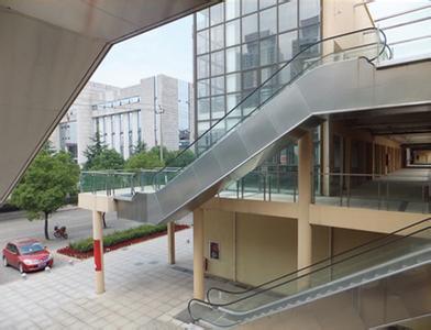 Auto Passenger Escalator Made in China Image1