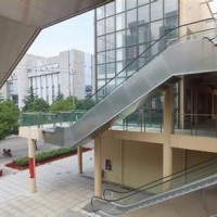 Auto Passenger Escalator Made in China