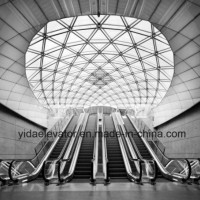 Escalator Used in Public Place