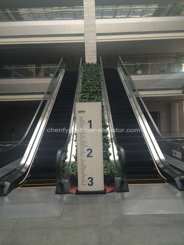 Slim Type Indoor or Outdoor Escalators Image1