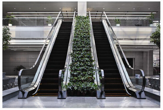 Sicher Elevator Gre20 Slim Escalator Image1