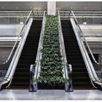 Sicher Elevator Gre20 Slim Escalator