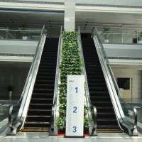 CE GOST Approved Indoor Escalator