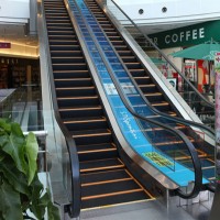 1000mm Escalator with Stainless Steel Steps (CE)