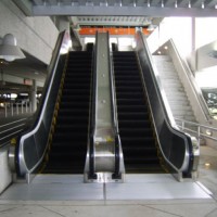800/1000mm Pallet Width Modern Escalator for Markets