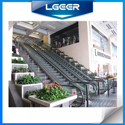 Outdoor Escalator with Vvvf Image1