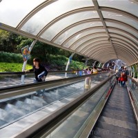 Toyon Safe & Comfortable Commercial Escalators Public Transport