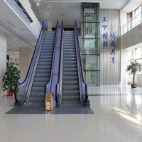Outdoor 30 Degree Automatic Escalator/Ladder Good Quality with Competitive Price