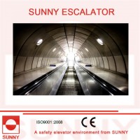 Heavy Duty Escalator with Anti-Slip Grooves (SN-ES-D035)