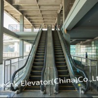 Dsk Durable Outdoor Escalators with Competitive Price