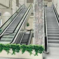 Light Duty Shopping Mall Escalator
