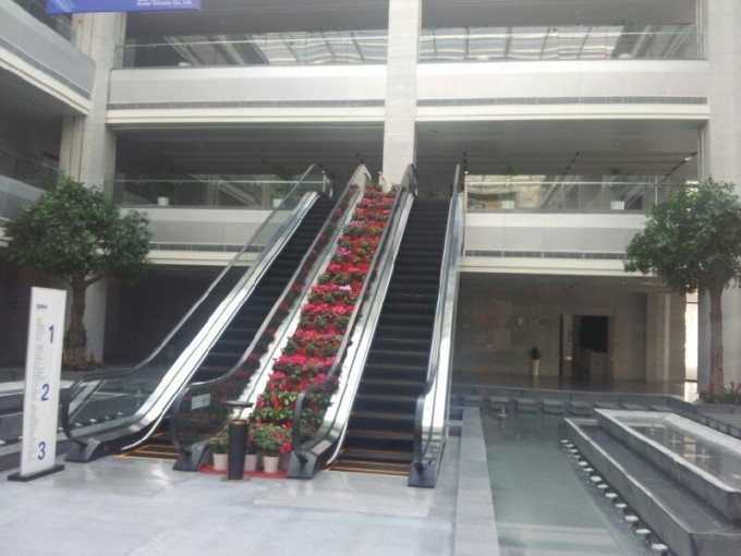 China Manufacture Designed Escalator with 0.5m/S Speed Image1