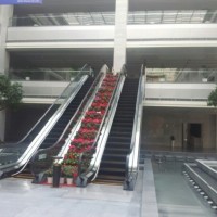 China Manufacture Designed Escalator with 0.5m/S Speed