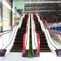 Waving Escalator with Best Quality