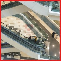 Commercial Escalator with 35 Degree 1000mm Step Width Vvvf Control