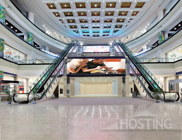 Public Transport Heavy Duty Escalators Image1