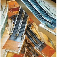35 Degree Parallel Placed Escalator (XNF-004)