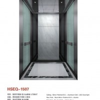 Vvvf Passenger Lift