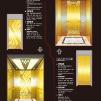 AC Vvvf Passenger Elevator