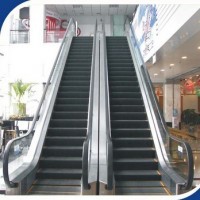 Ce Approved Elevator (escalator and moving wallk) for Shopping Mall