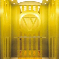Optional Function 1250kg Capacity Passenger Elevator