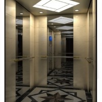 China Passenger Elevator with German Technology