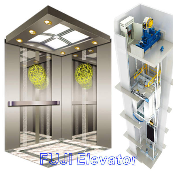 FUJI Passenger Lift for Homes Image1