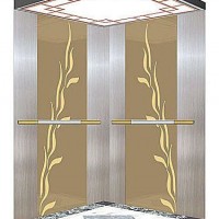 Vwf with Machine Room Passenger Elevator