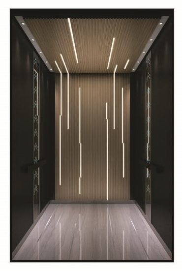 Mrl Passenger Elevator for Energy Saving Image1