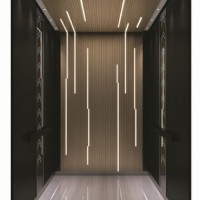 Mrl Passenger Elevator for Energy Saving