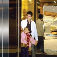 Srh Germany Technology Small Machine Room Residential Elevator