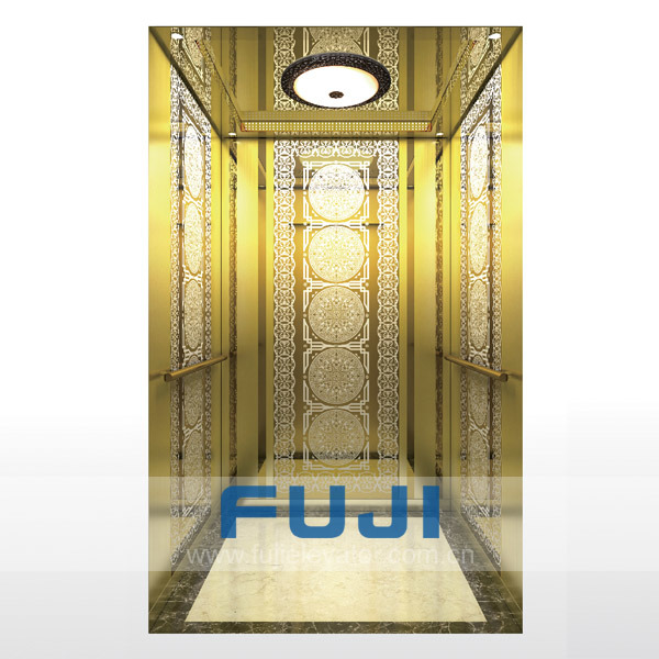 Price for Passenger Elevator with High Quality Image1